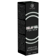 Delay Gel: for prolonged pleasure (15ml)